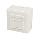 CAT6a UTP / STP pinta-asennuslaatikko, norsunluu