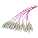 OM4 valokuituinen pigtail violetti LC - 12 kpl